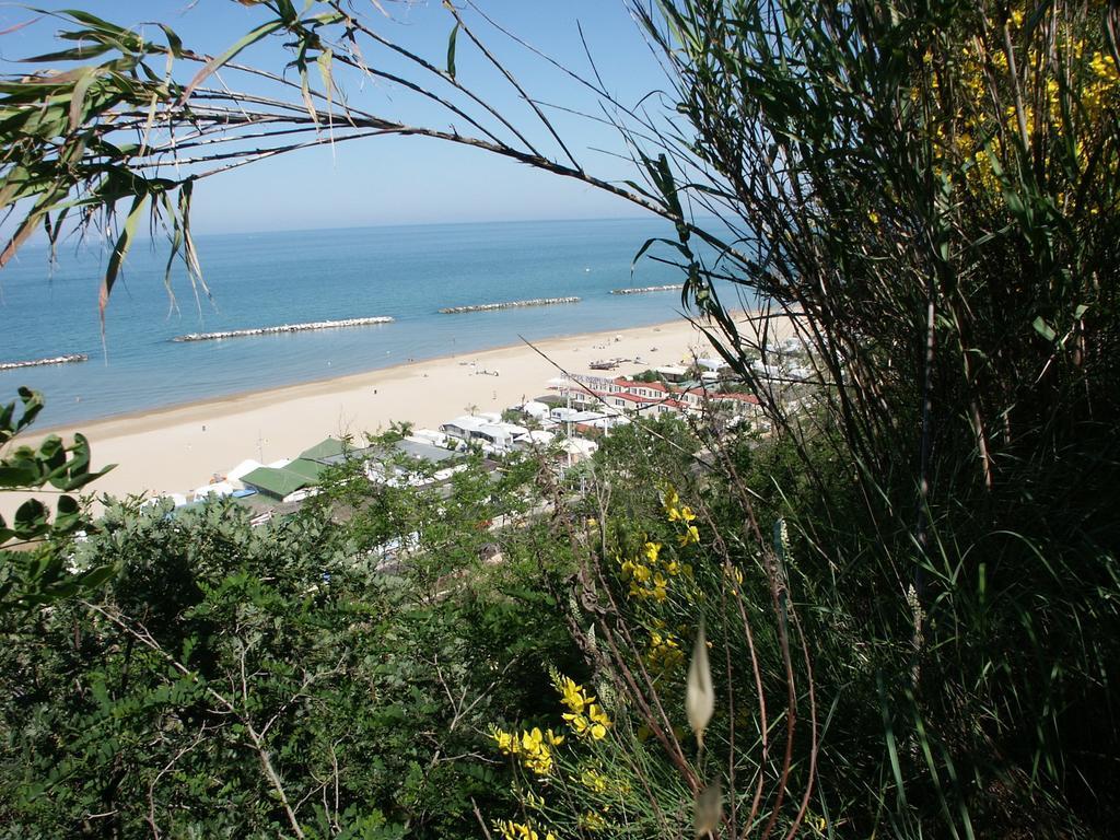 Camping Norina بيزارو المظهر الخارجي الصورة